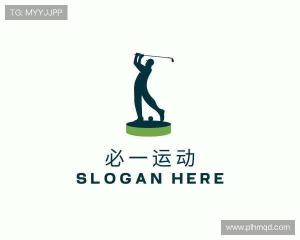 介绍必一